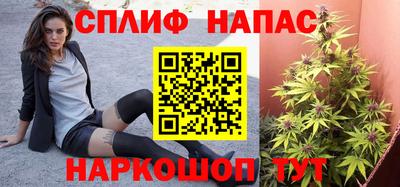 наркотики Сланцы