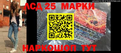наркотики Сланцы