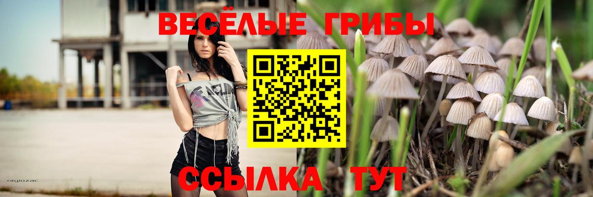 Галлюциногенные грибы Cubensis Партизанск